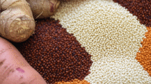 Sabores do Passado: A Magia da Culinária e Receitas Ancestrais